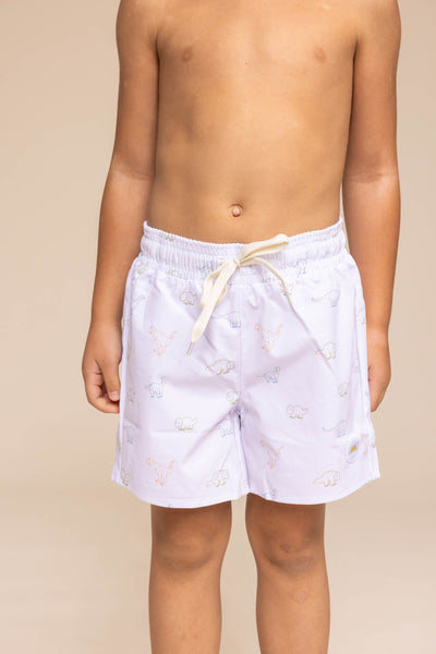 Boy's Boardshort | Dinos